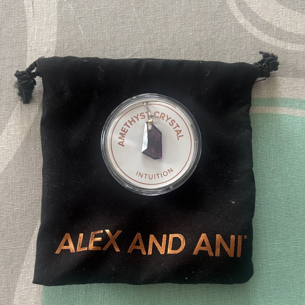 Alex and Ani Amethyst Crystal Necklace